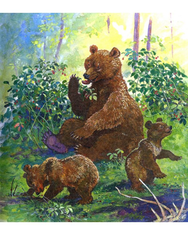 Времена года. Стихи, рассказы и загадки о природе