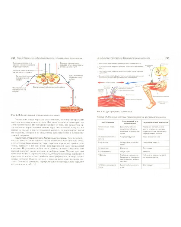 Медико-социальная реабилитация пациентов с различной патологией