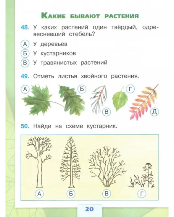 Окружающий мир. 2 класс. Тесты. ФГОС