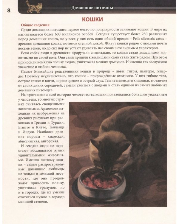 Домашние питомцы (красн.)