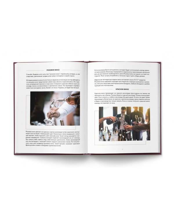Сам себе сомелье. Как научиться разбираться в вине с нуля