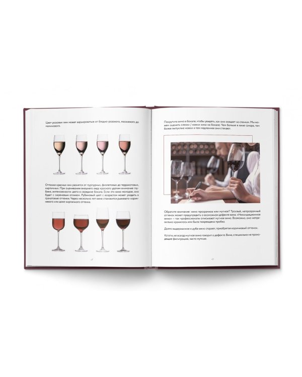 Сам себе сомелье. Как научиться разбираться в вине с нуля