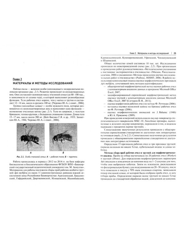 Оценка морфобиологических признаков Apis mellifera в условиях интрогрессии