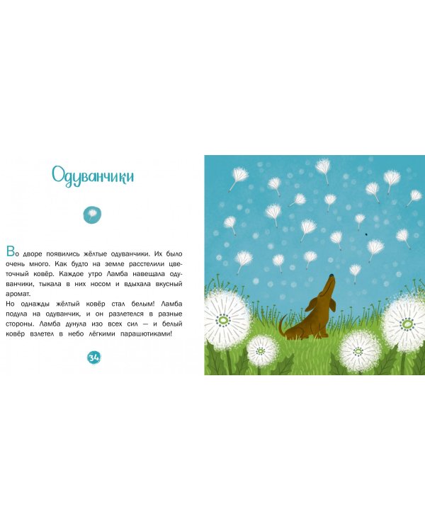 Волшебный нос. 30 историй для первого чтения. 4-6 лет