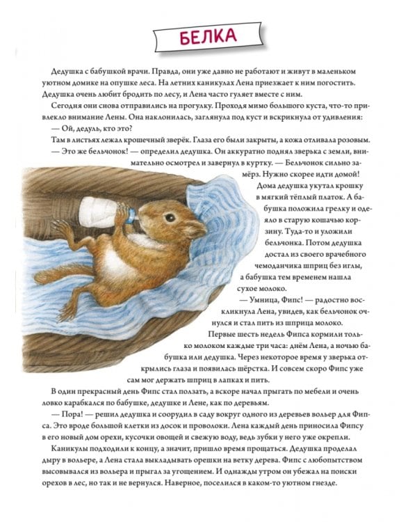 Пушистые малыши. Как растут животные и птицы