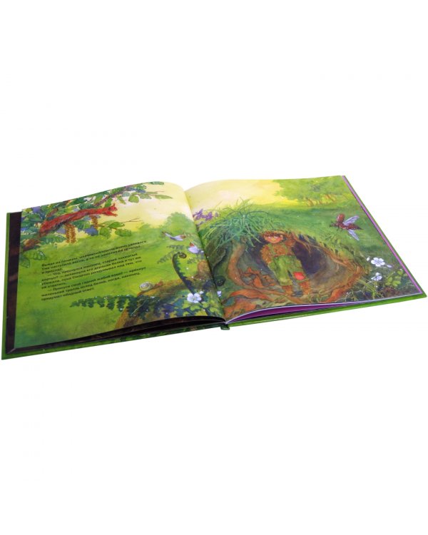 Сморчок, маленький тролль