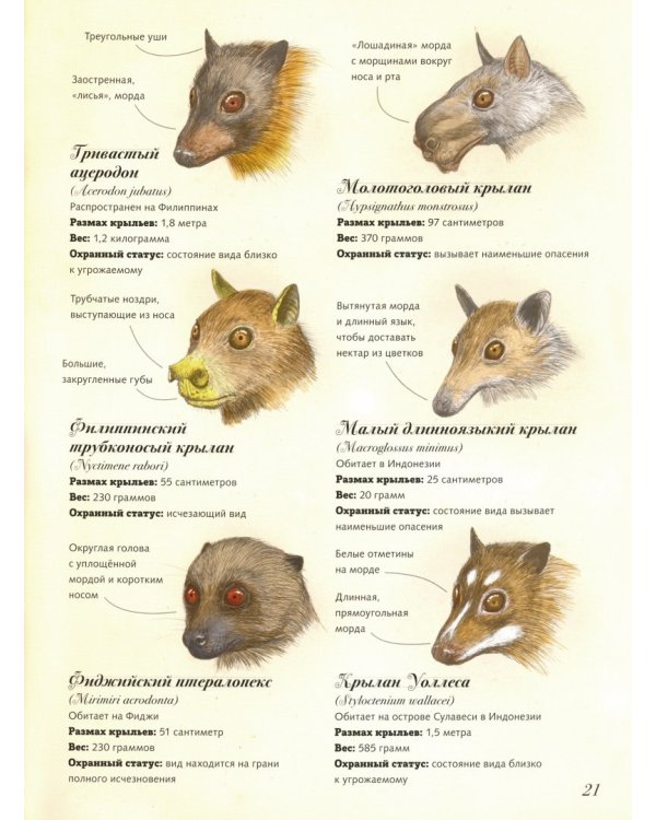 Обитатели суши