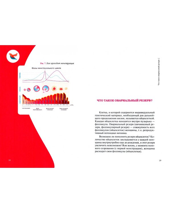 Как быстро забеременеть?