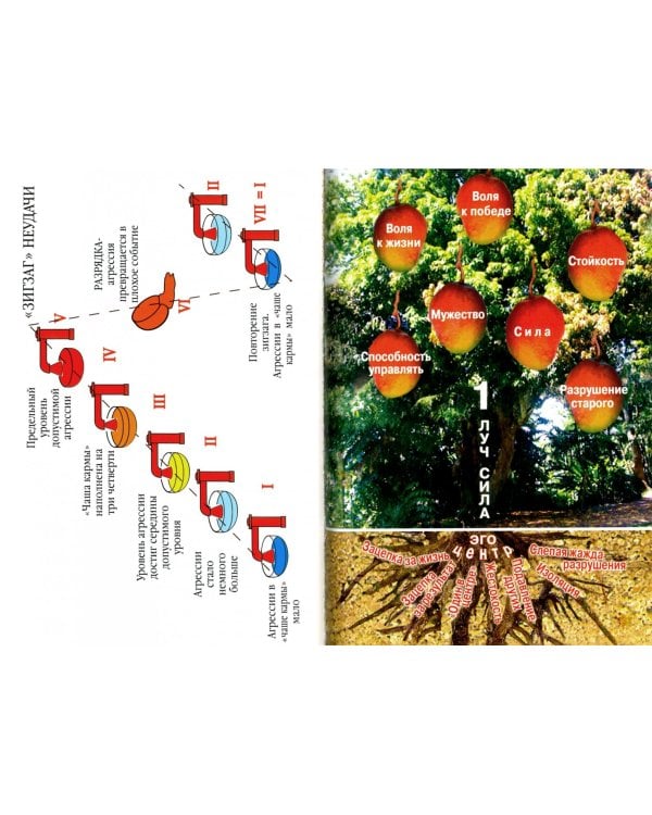 Новое сознание. Книга 1. Духовный и Материальный Пути в эпоху Водолея