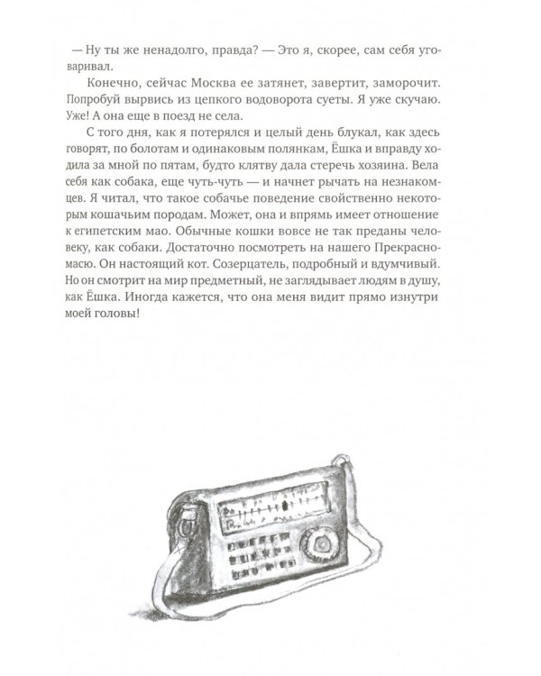 МРНЫ (почти правдивая история)