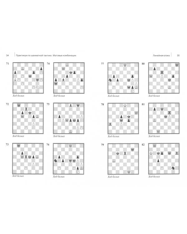 Практикум по шахматной тактике. Матовые комбинации. Двойной удар. Связка. Учебное пособие