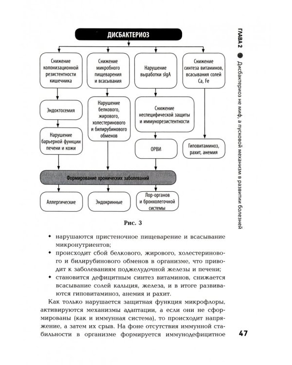 Укрощение строптивых. Как приручить микрофлору кишечника и стать здоровым