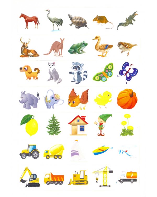 Логика. Окружающий мир. Сборник развивающих заданий для детей от 6 лет. 70 наклеек