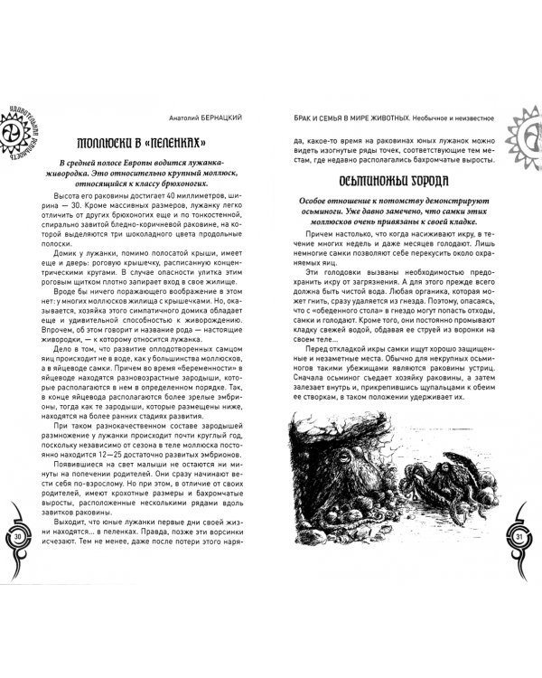 Брак и семья в мире животных. Необычное и неизвестное