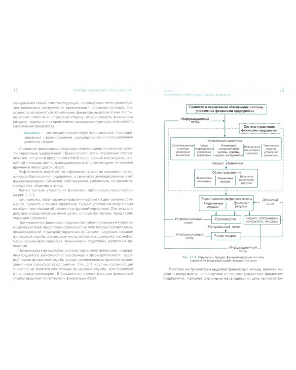 Природа финансового менеджмента. (Бакалавриат, магистратура). Учебник