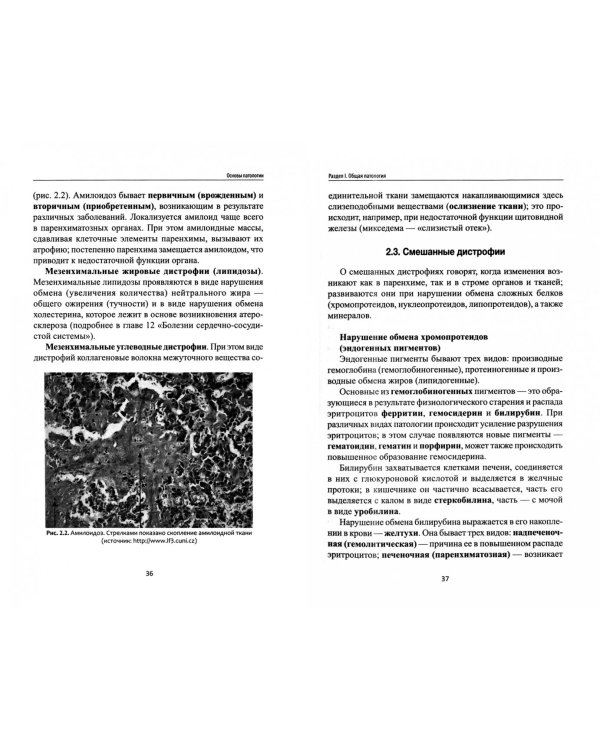 Основы патологии. Учебник
