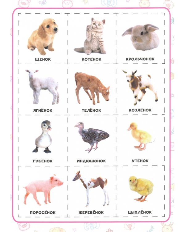 Родители и детки.Разрезные элементы.5 в 1