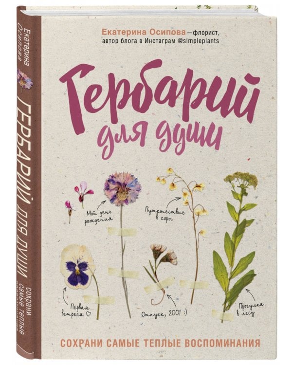 Гербарий для души: сохрани самые теплые воспоминания