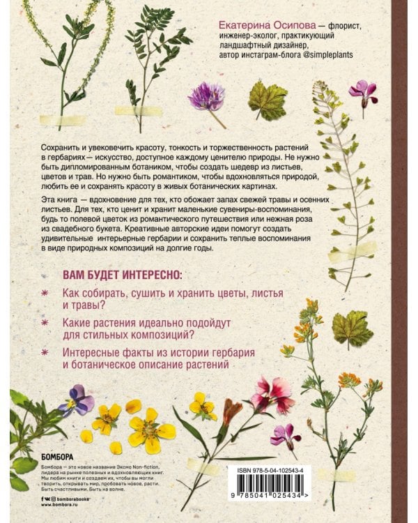 Гербарий для души: сохрани самые теплые воспоминания