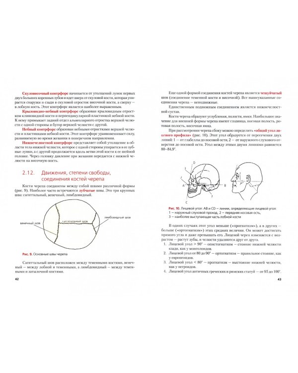 Пластическая анатомия. Учебник (+ еПриложение: тесты)