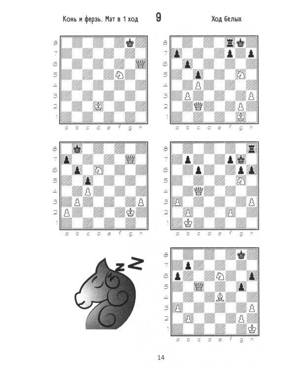 Шахматы. Пятёрки+. Учебное пособие