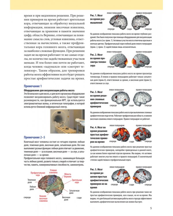 Память. Упражнения и задания по японской системе развития мозга