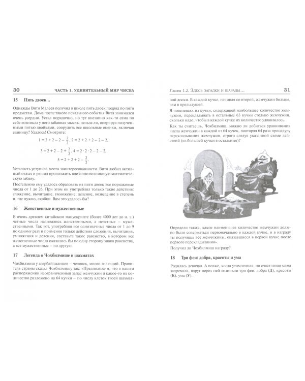 Удивительный мир чисел и фигур. Загадки и шарады, фокусы, ребусы, головоломки, танграм, кросснамберы
