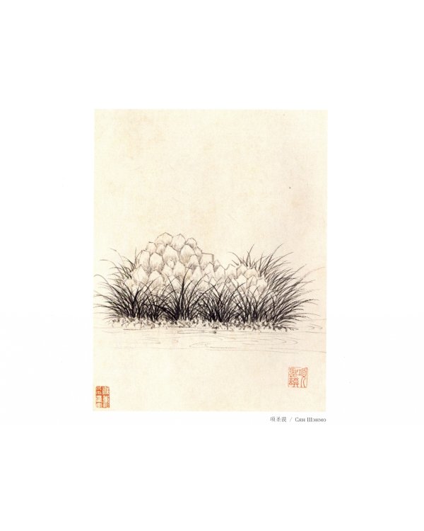 Скалы и камни