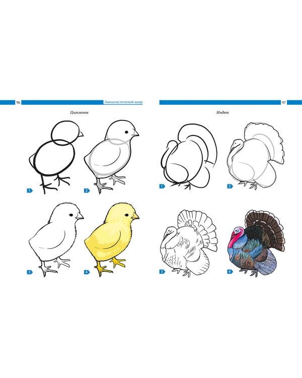 Рисование. Подробный курс для будущих художников