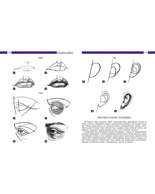 Рисование. Подробный курс для будущих художников