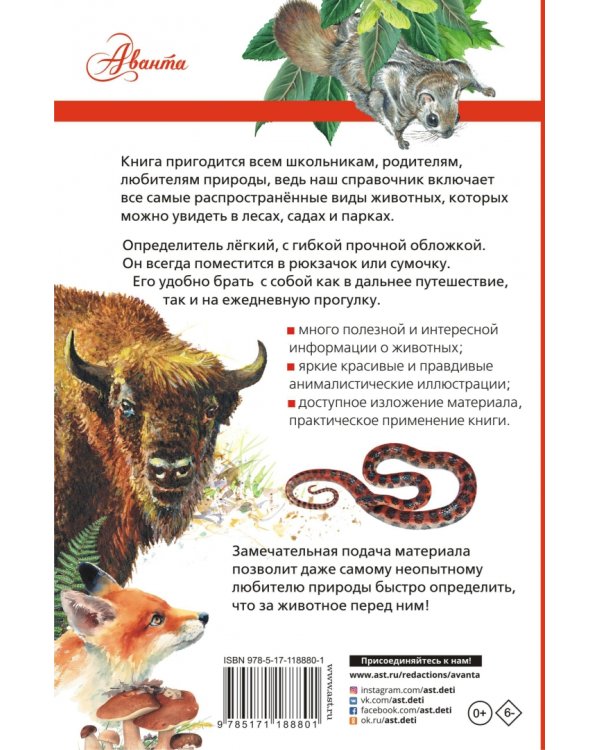 Животные России. Определитель