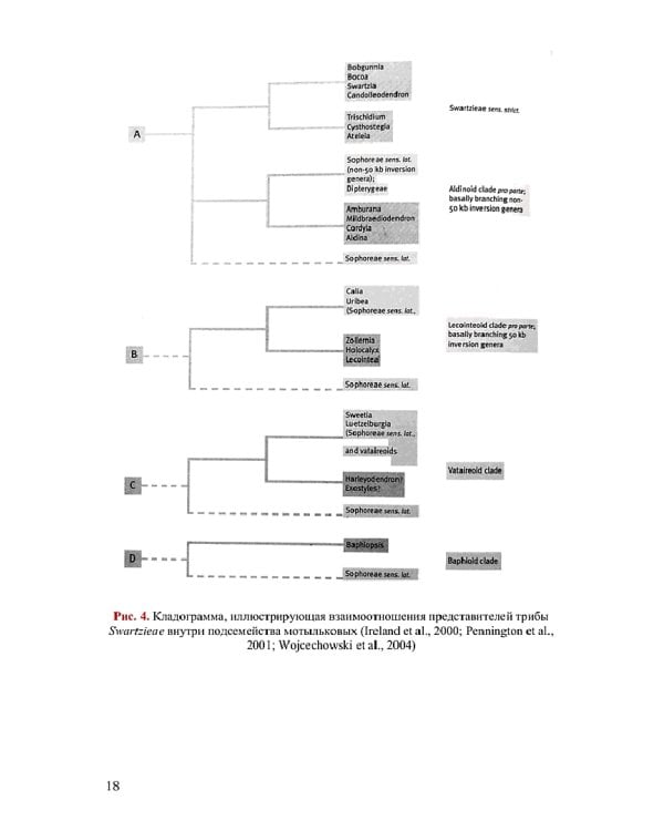Систематика и филогения базальных мотыльковых. Монография