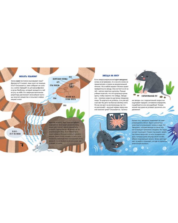 Суперзверята