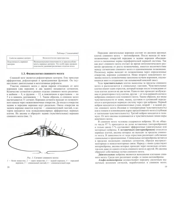 Патологическая физиология нервной системы. Учебное пособие