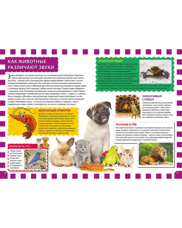 Сверхспособности животных