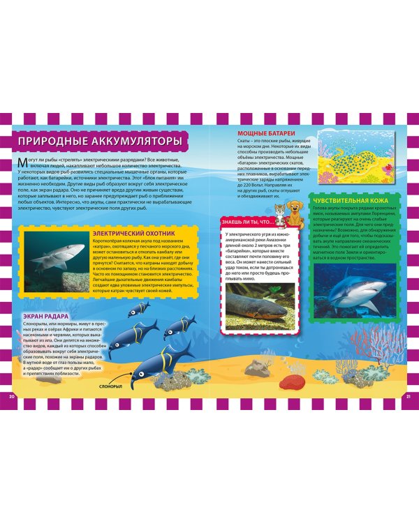 Сверхспособности животных