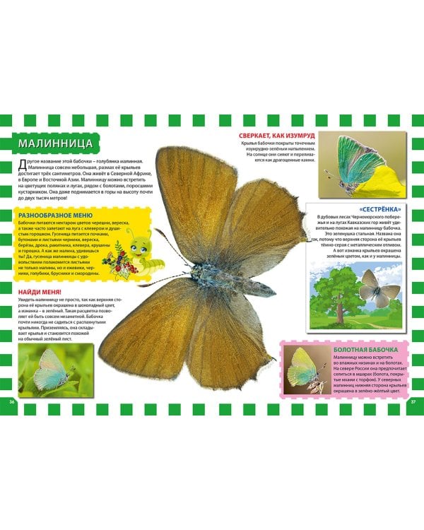 Бабочки. Первая энциклопедия для детей