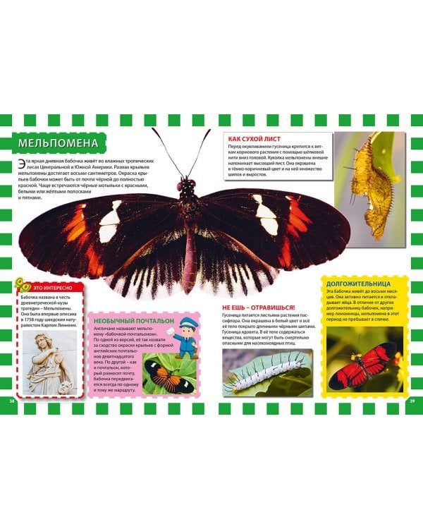 Бабочки. Первая энциклопедия для детей