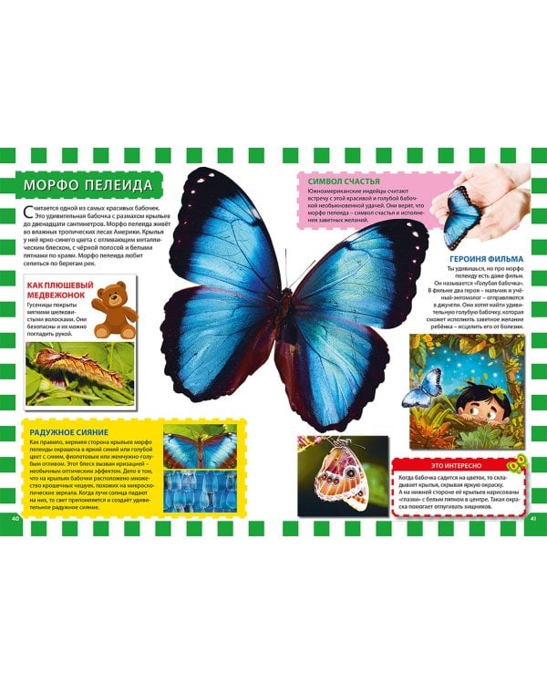 Бабочки. Первая энциклопедия для детей