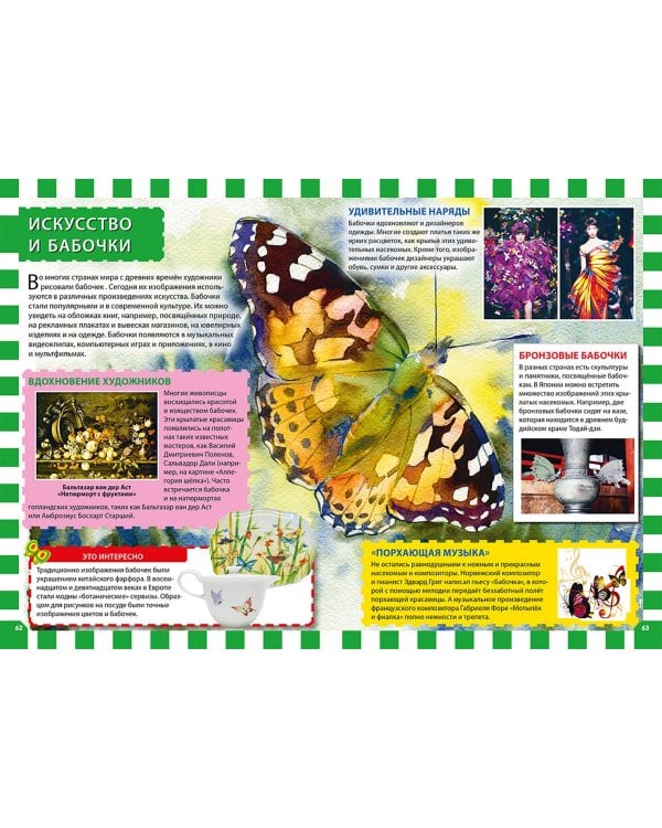 Бабочки. Первая энциклопедия для детей