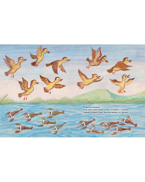 Где раки зимуют