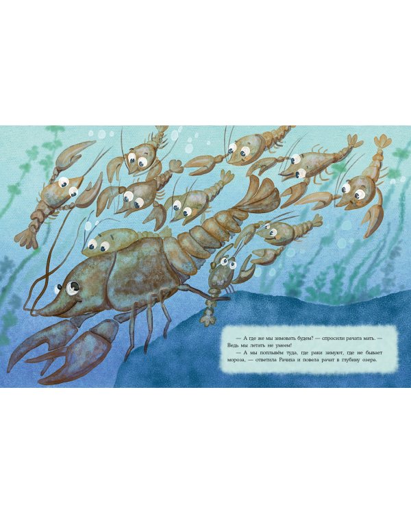 Где раки зимуют