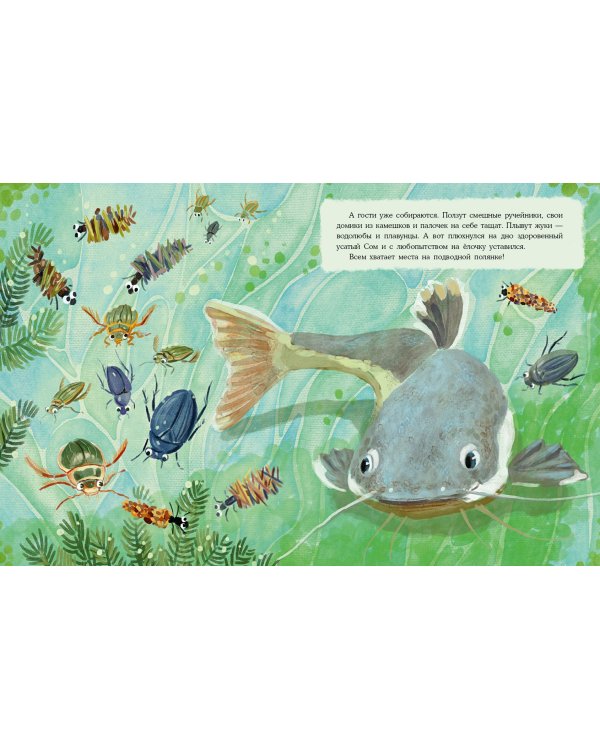 Где раки зимуют