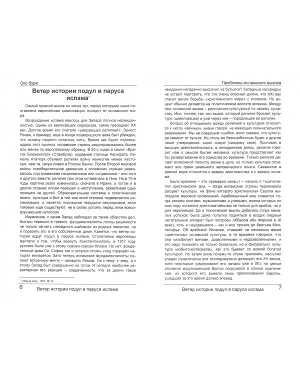 Око бури. Проблемы исламского вызова