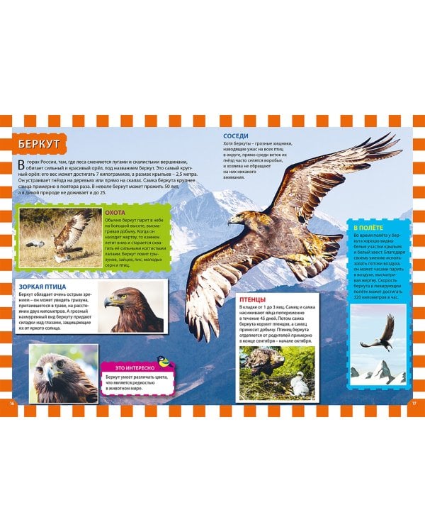 Птицы России