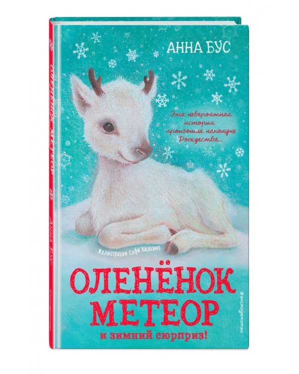 Оленёнок Метеор и зимний сюрприз!