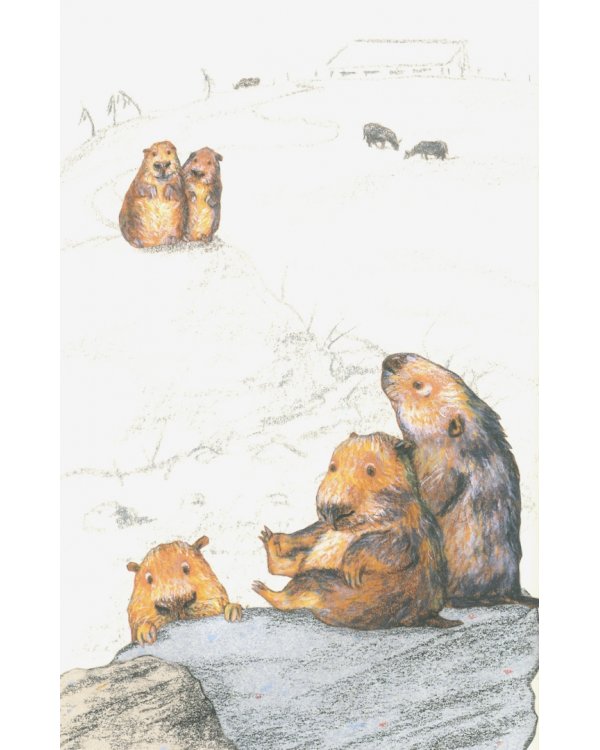 Ночь кометы. Сказочная повесть для детей