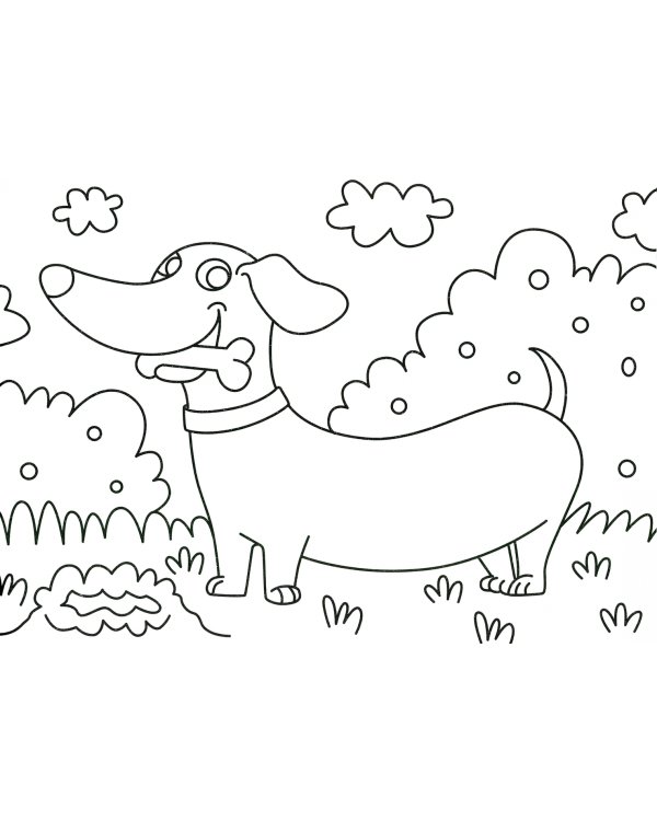 Раскраска А4. Милые щенки