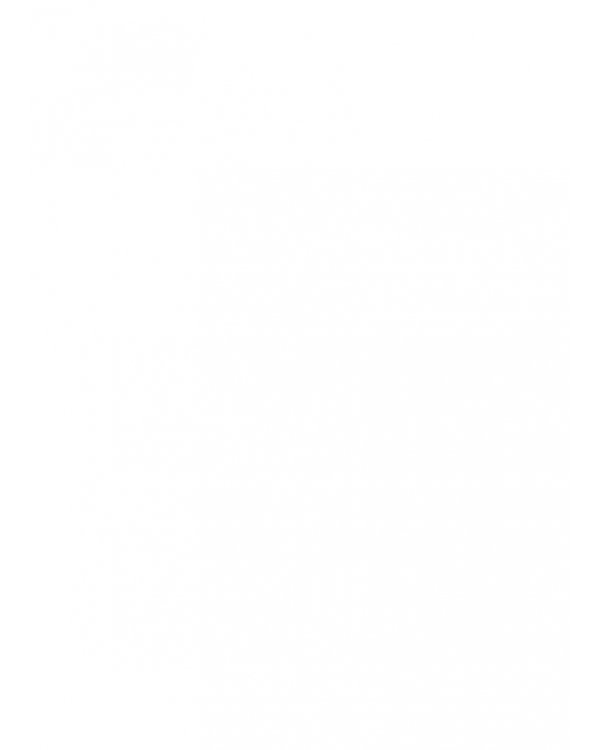 Nuovissimo Progetto italiano 1А. Libro + Quaderno + CD (+ DVD)