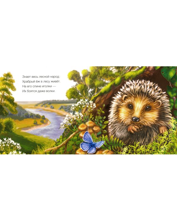 Милые зверята. Ежик